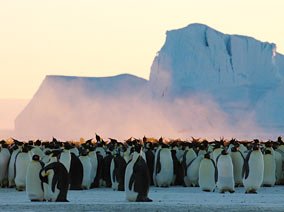 Discovery's New Shows: Polar 'Planet Earth' and 'Penn & Teller's Secrets of the Universe'